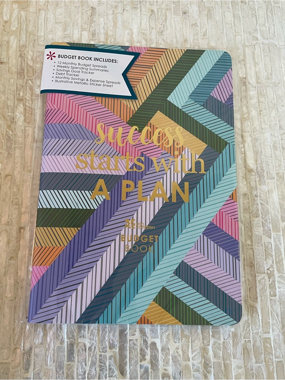 Erin Condren Budget Book - Multicolor Chevron Pattern with Gold Foil